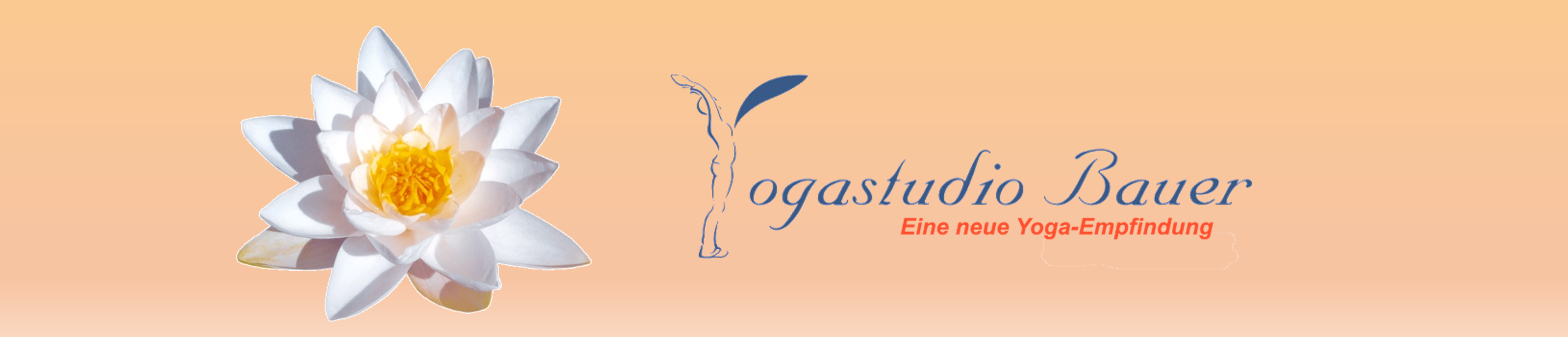 Zurück zur Startseite